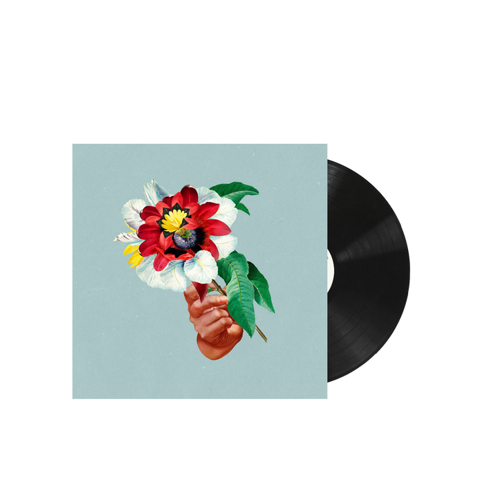 Kingdoms In Colour LP